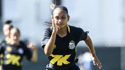 Santos disputa a terceira fase da Copa do Brasil - Foto: Reinaldo Campos/ Santos F.C.