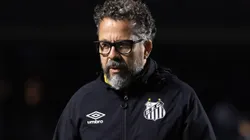 Cleber Xavier, técnico do Santos, durante partida contra o Juventude no estadio Morumbi pelo campeonato Brasileiro A 2025. Foto: Marcello Zambrana/AGIF