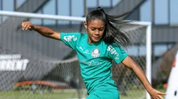 Palmeiras se prepara para clássico contra o Santos - Foto: Paloma Cassiano/Palmeiras