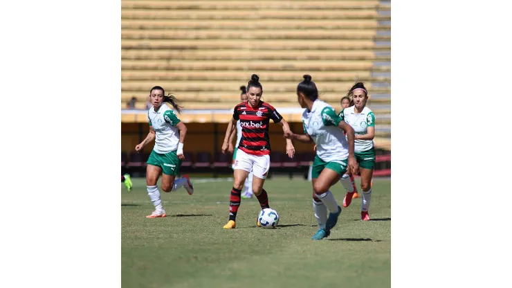 Flamengo x Palmeiras. Foto: Mariana Sá/CRF