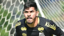 Foto: JOTA ERRE/AGIF