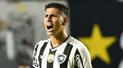 David Ricardo, jogador do Botafogo. Foto: Jota Erre/AGIF.