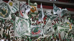 Torcida do Palmeiras fazendo a festa. Foto: Mateus Bonomi/AGIF.