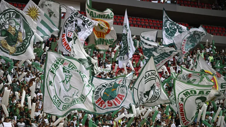Torcida do Palmeiras fazendo a festa. Foto: Mateus Bonomi/AGIF.