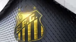 Nova Vila Belmiro. Foto: Reprodução