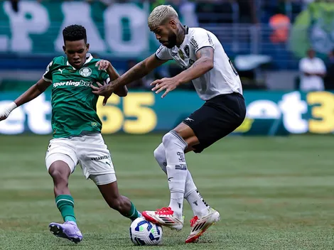 Tudo sobre Botafogo x Palmeiras pelo Brasileirão Betano