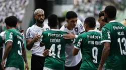 Botafogo e Palmeiras se enfrentam hoje: saiba onde assistir ao vivo. Foto: Fabio Giannelli/AGIF