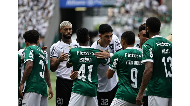 Botafogo e Palmeiras se enfrentam hoje: saiba onde assistir ao vivo. Foto: Fabio Giannelli/AGIF