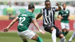 Palmeiras e Botafogo se reencontram após duelo no Mundial de Clubes (Photo by Francois Nel)