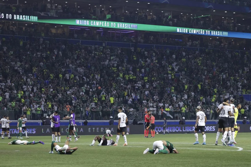 Botafogo comemora vitória diante do Palmeiras – (Photo by Alexandre Schneider/Getty Images)