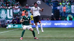 Piquerez, jogador do Palmeiras, disputa lance com Artur jogador do Botafogo durante partida no estadio Arena Allianz Parque pelo campeonato Brasileiro A 2025. Foto: Fabio Giannelli/AGIF