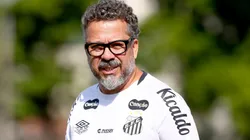 Cléber Xavier no comando técnico do Santos - Foto: Reprodução/AGIF