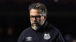 Cléber Xavier durante partida do Peixe