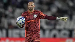 Weverton goleiro do Palmeiras durante partida contra o Botafogo no estadio Engenhao pelo campeonato Brasileiro A 2025. Foto: Thiago Ribeiro/AGIF