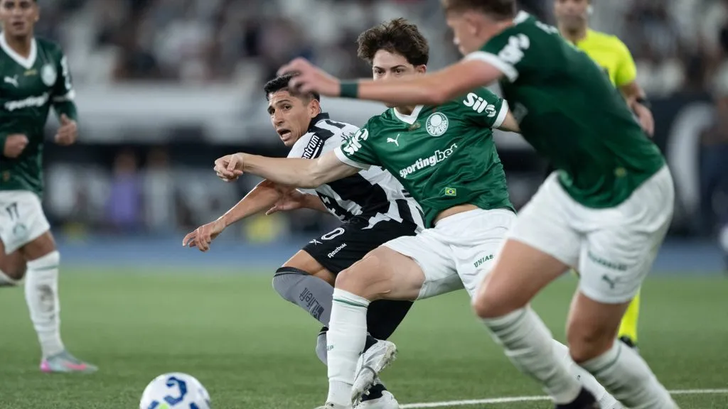 Botafogo x Palmeiras pelo Brasileirão. Foto: Jorge Rodrigues/AGIF