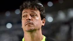 RJ - RIO DE JANEIRO - 31/05/2025 - BRASILEIRO A 2025, VASCO X BRAGANTINO - Fernando Diniz tecnico do Vasco durante partida contra o Bragantino no estadio Sao Januario pelo campeonato Brasileiro A 2025.