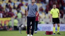 Filipe Luís tenta apagar traumas de eliminações passadas e avançar na Libertadores. Foto: Alexandre Loureiro/AGIF