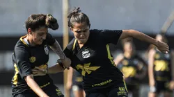 Santos se prepara para decisão da A2 na temporada - Foto: Reinaldo Campos/ Santos F.C.