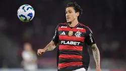 Pedro é um dos destaques do Flamengo. Foto: Thiago Ribeiro/AGIF