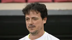 Fernando Diniz durante jogo contra o Botafogo no Mané Garrincha.