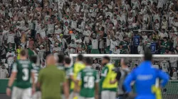 Torcida do Palmeiras fazendo a festa. Foto: Thiago Ribeiro/AGIF.