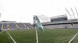 Palmeiras enfrenta Cruzeiro na semifinal do Brasileiro Feminino - Foto: Cris Mattos/Staff Images Woman/CBF