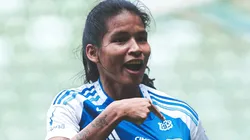 Cruzeiro é finalista do Brasileirão. Foto: Reprodução/Central da Toca