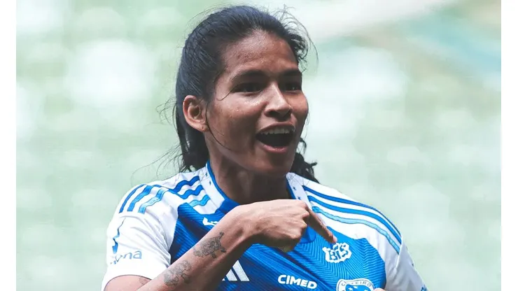 Cruzeiro é finalista do Brasileirão. Foto: Reprodução/Central da Toca