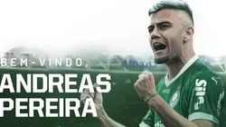 Andreas Pereira está regularizado para estrear pelo Palmeiras - Foto: Divulgação/SE Palmeiras