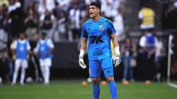 Gabriel Brazao goleiro do Santos durante partida contra o Fluminense pelo campeonato Brasileiro A 2025.