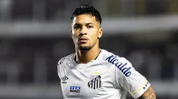 Marcos Leonardo está perto do Tricolor