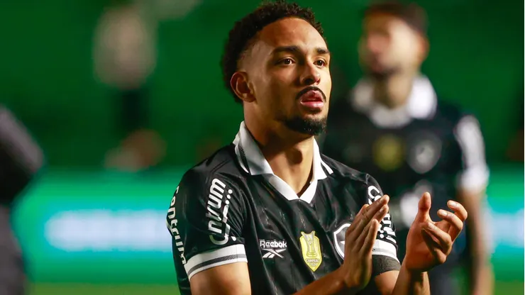 Jogador deu a sua opinião - Foto: Luiz Erbes/AGIF.