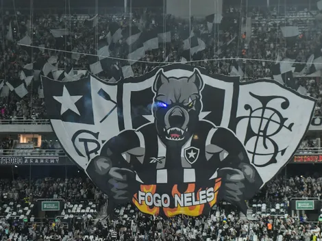 Botafogo tem a 4ª pior média de público do Brasileirão Betano