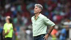 Renato Gaúcho foi chamado de "burro" em pleno Maracanã. Foto: Jhony Pinho/AGIF