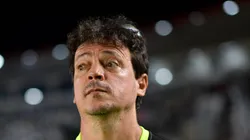 RJ - RIO DE JANEIRO - 31/05/2025 - BRASILEIRO A 2025, VASCO X BRAGANTINO - Fernando Diniz tecnico do Vasco durante partida contra o Bragantino no estadio Sao Januario pelo campeonato Brasileiro A 2025.