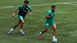 Vitor Roque é um dos seis pendurados do Palmeiras contra o Inter - Foto: César Greco/Ag. Palmeiras