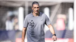 Vojvoda é o técnico do Santos. Foto: Raul Baretta/Santos FC