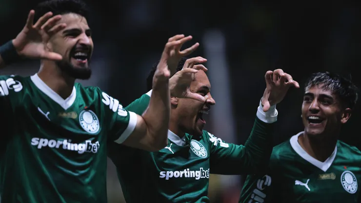 Palmeiras x Internacional. Foto: Ettore Chiereguini/AGIF