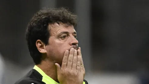 DF - BRASILIA - 12/07/2025 - BRASILEIRO A 2025, VASCO X BOTAFOGO - Fernando Diniz tecnico do Vasco durante partida contra o Botafogo no estadio Mane Garrincha pelo campeonato Brasileiro A 2025.