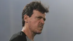 Diniz prepara mudanças no Vasco. Foto: Thiago Ribeiro/AGIF