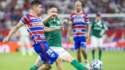 Palmeiras domina os confrontos diante do Fortaleza