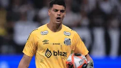 Goleiro faz grande temporada - Foto: Ettore Chiereguini/AGIF.