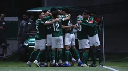 Palmeiras terá força máxima na Argentina contra River Plate
