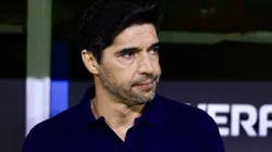 Abel Ferreira comentou sobre a chegada de reforços