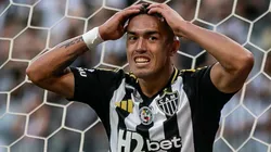 Atacante só volta em 2026 - Foto: Fernando Moreno/AGIF.