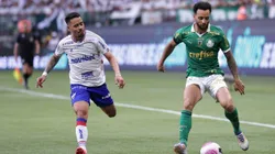Palmeiras x Fortaleza se enfrentam pelo Brasileirão. Foto: Ettore Chiereguini/AGIF