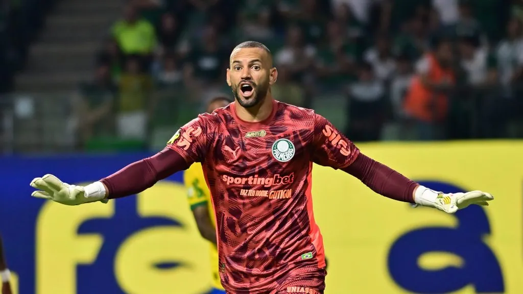 Weverton, goleiro do Palmeiras. Foto: Jota Erre/AGIF.