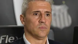 Crespo perde Ferreirinha e Luan por lesão em 15 minutos e precisa fazer mudanças em Santos x São Paulo