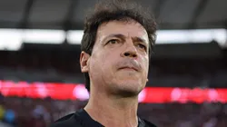 Fernando Diniz, técnico do Vasco em partida pelo campeonato brasileiro