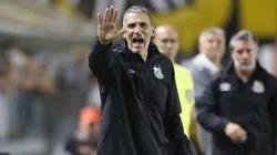 Vojvoda, técnico do Santos em partida pelo campeonato brasileiro